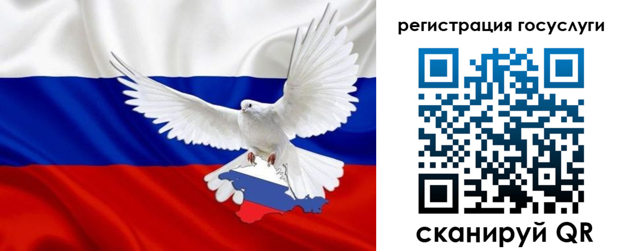 прописка законно в Королёве